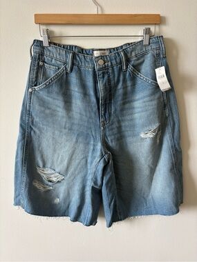 Anthropologie Light Blue Denim Shorts Mom Jorts